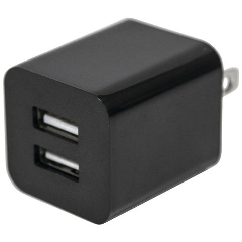 IWERKZ 44636 2-Amp Dual-Port USB Wall Charger (Black)