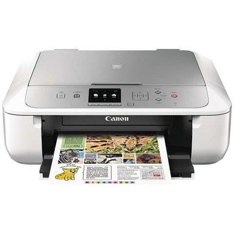 CANON 0557C062 PIXMA(R) MG5720 Photo Printer (White-Silver)