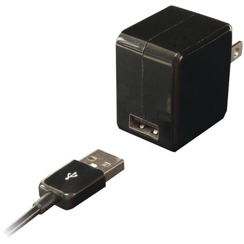 IESSENTIALS IPL-AC-BK USB Wall Charger with USB 30-Pin Cable