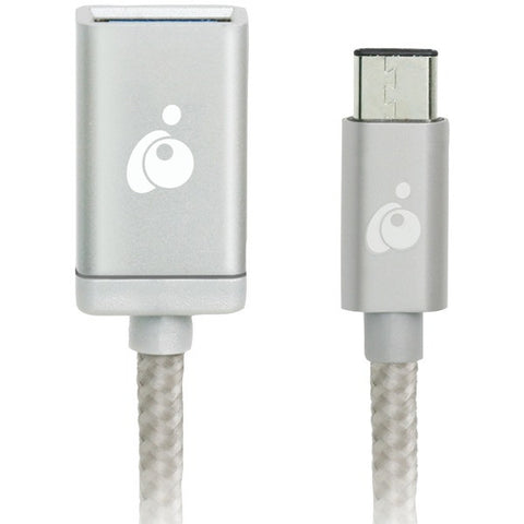 IOGEAR G2LU3CAF10-SIL Charge & Sync USB-C(TM) to USB-A Adapter (Silver)