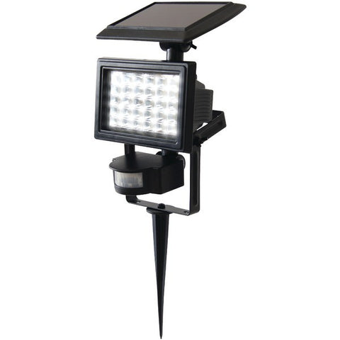 EcoThink 155029 30-LED Solar Motion-Sensor Light