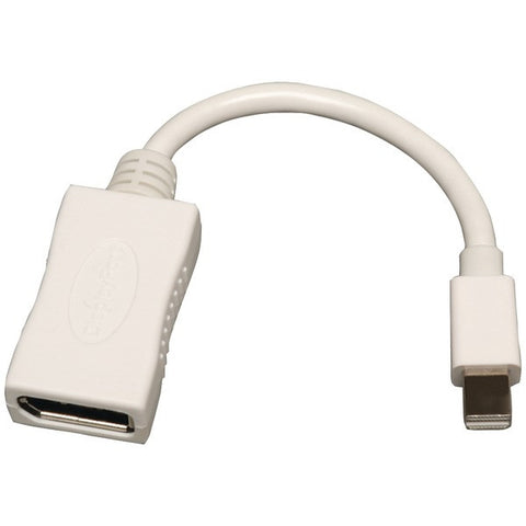 TRIPP LITE P139-06N-DP Mini DisplayPort to DisplayPort Cable Adapter-Converter