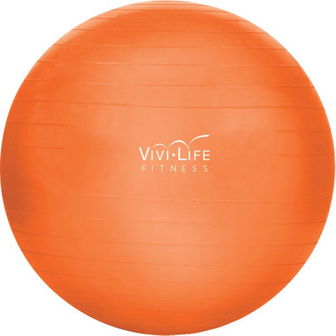 VIVI LIFE PF-V8250-ORG 55cm Balance Ball (Orange)